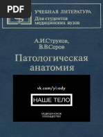 Strukov Serov Patan | PDF