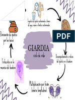 Grafico Diagrama Ciclo de La Creatividad Divertido Creativo Moderno Amarillo