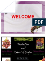 Production and Export of Grapes