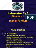 Pev-lab 2+3 - Mob En