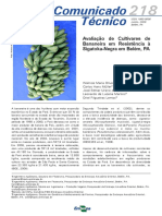 Avaliação cultivares bananeira resistência sigatoka Belém