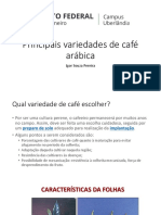 Aula 04 CURSO CAFEICULTURA - Principais Variedades de Café Arábica