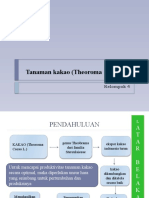 Klmpok 4 Mulok