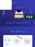 6 Neuroglia (PROF EDDIE)