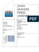 CV - Juan Manuel P.J