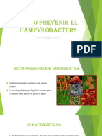 Cómo Prevenir El Campyrobacter