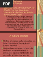 A Sociologia No Brasil