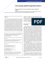 Effect of Cadmium On Anion Exchange Capability Through Band 3 Protein in