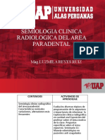 13.-Semiologia de Las Estructuras Paradentales