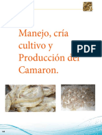 Proyecto Camaron