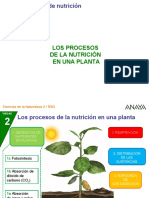 Nutricion Plantas
