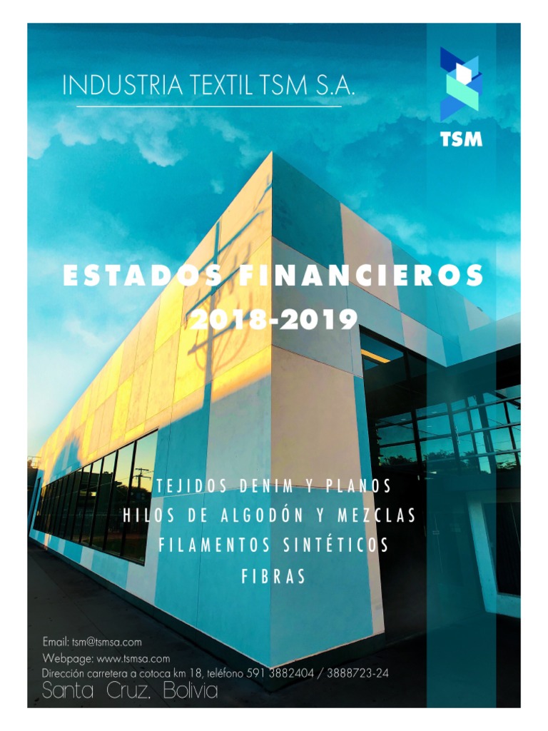 Financial Statements and Auditors' Report for Textile Company Industria