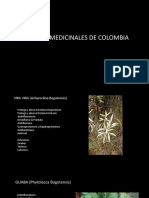Plantas Medicinales de Colombia