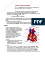 L Apparato Cardio Circolatorio