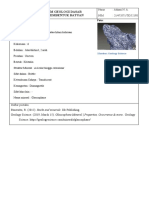 5-Glaucophane-Borang GeoDas Acara 2