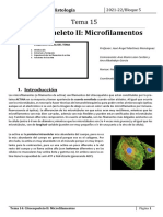 Tema 15 - Citoesqueleto II