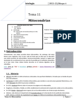 Tema 11 - Mitocondrias Editt