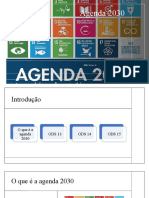 Agenda 2030 ODS 13 14 15 metas sustentabilidade