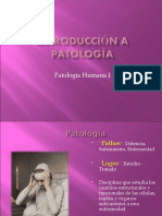 Introducción A La Patologia