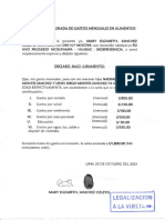 DECLARACION1