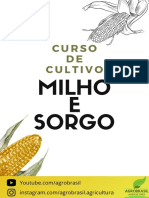 Profissional em Cultivo de Milho e Sorgo