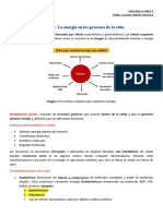 Unidad 1. La Energía en Los Procesos de La Vida