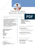 Itzman Antonio Sánchez Martínez: Profile Skills