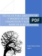 Técnicas para Identificar y Modificar Esquemas Cognitivos y Supuestos Básicos Subyacentes