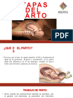 Etapas Del Parto