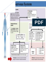 Nervous System