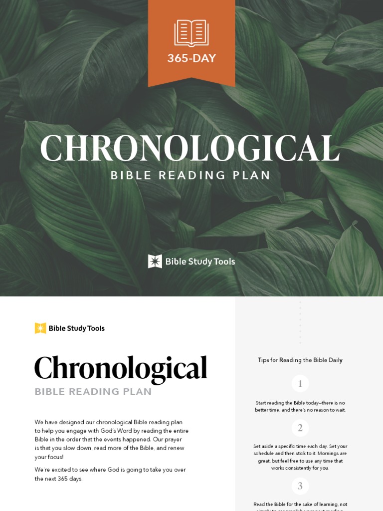 Chronological Bible Plan | PDF | Book Of Numbers | Books Of Chronicles
