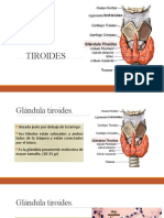 Glándula Tiroides