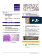 The Proper Fixation of Tissue Samples Part 1 - Histopath Lab - SPC MLS 2e