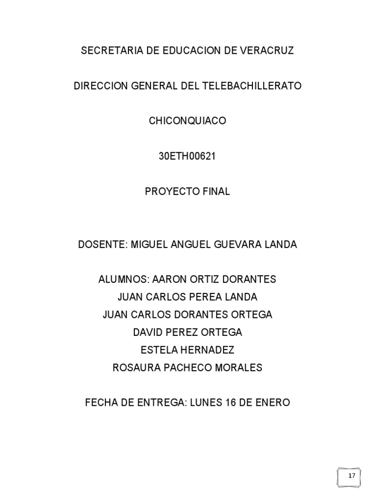 Proyecto Final | PDF