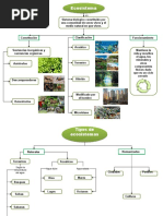 Mapa Conceptual Sobre Los Tipos de Ecosistemas | PDF | Tecnología