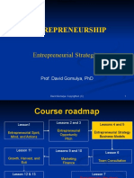 Entrepreneurship: Entrepreneurial Strategies