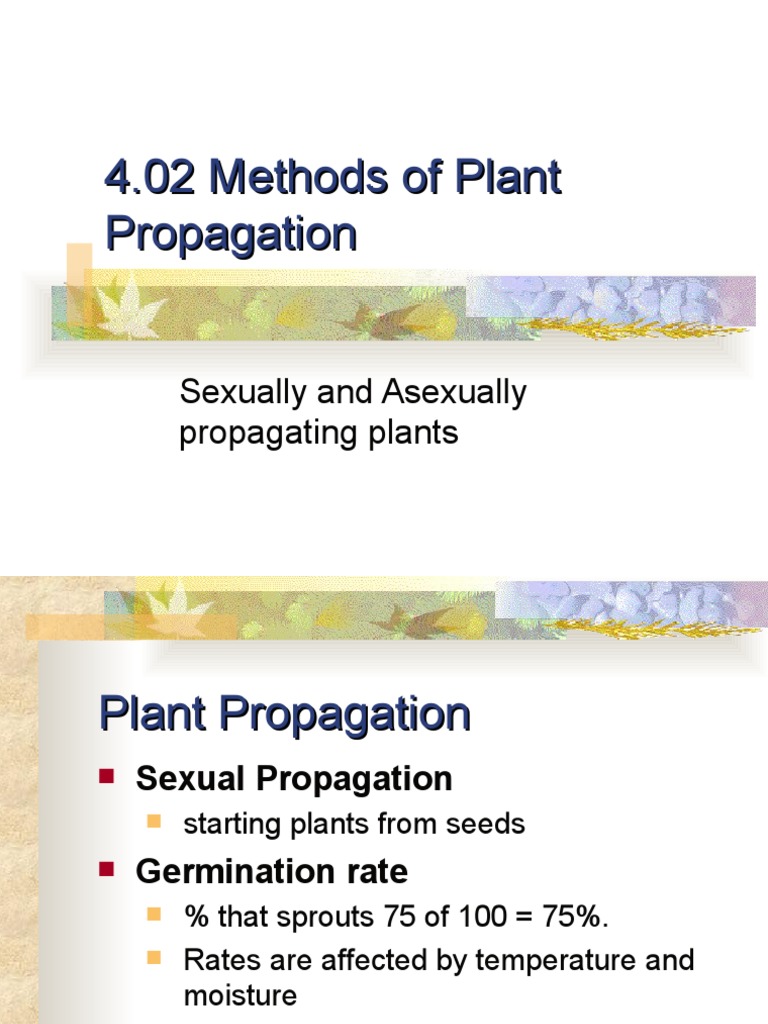 Seed Propagation Pdf – (PDF) Plant Propagation from Seed – ZMWD
