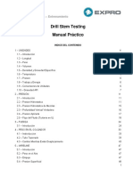 DST Manual Práctico