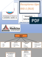 Receptores Tipo RIG-1