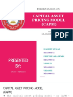 CAPM Presentation: Capital Asset Pricing Model