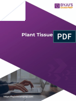 3.2plant Tissue 36 84
