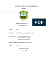 Universidad Nacional Agraria de La Selva: Informe de Practica #7