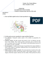 Reproductive System