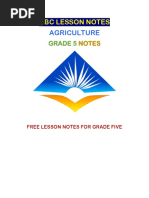 Grade 5 Agriculture Teaching Notes | PDF | Mulch | Soil
