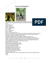 A. Deskripsi Tumbuhan Tancang (Bruguiera: Gymnorrhiza)