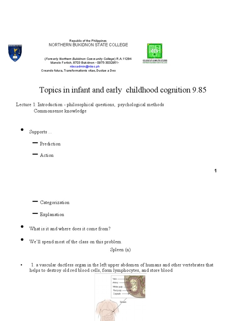 Topics in Infant and Early Childhood Cognition | PDF | Knowledge ...