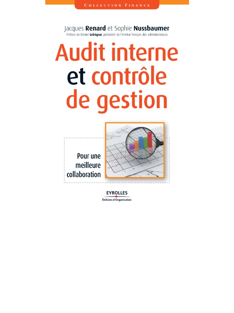 Audit Interne Et Contrôle de Gestion | PDF