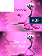 Thoracic Cage