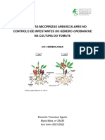 Trabalho Herbologia