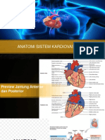 Anatomi Dan Fisiologi Sistem Kardiovaskular